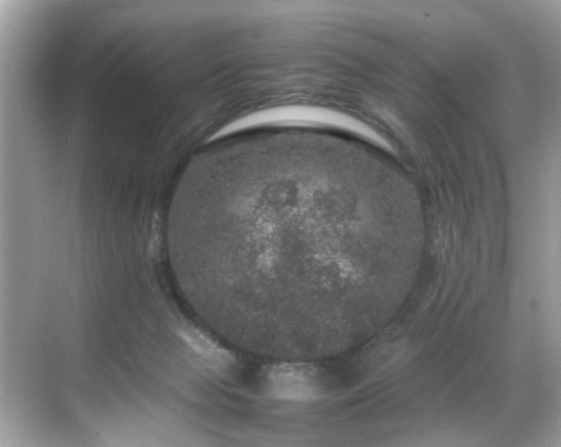 X0000070410077200606121341