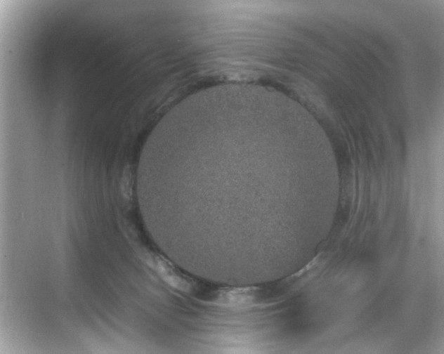 X0000070410078200606121341