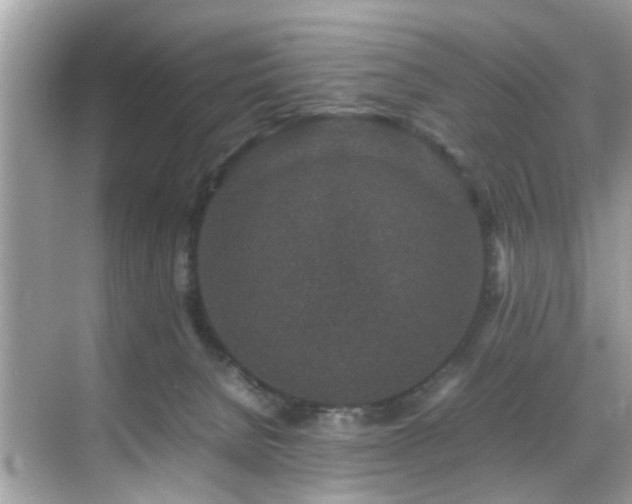 X0000070410080200606121341