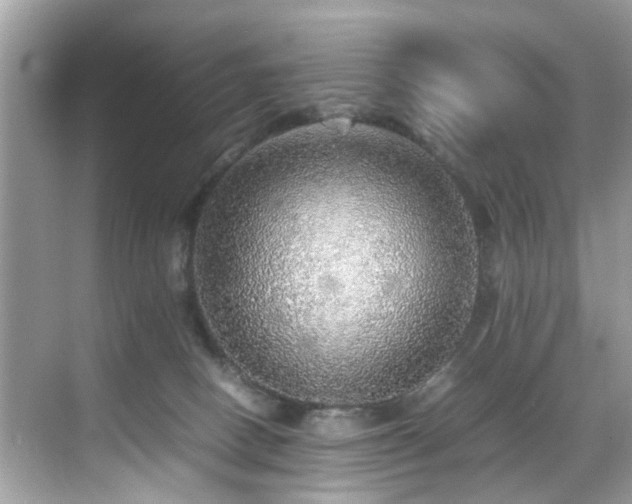 X0000070410082200606121341