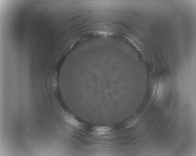 X0000070410085200606121341