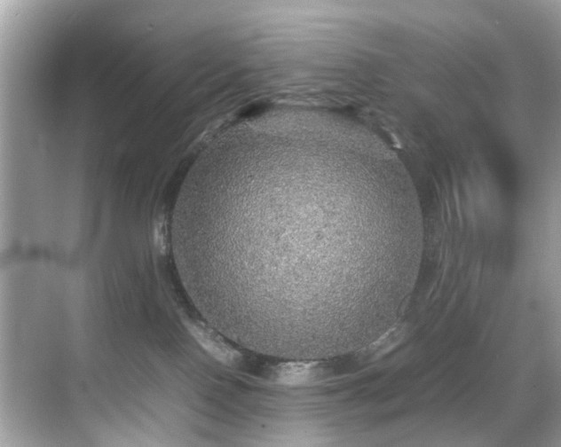 X0000070410090200606121341