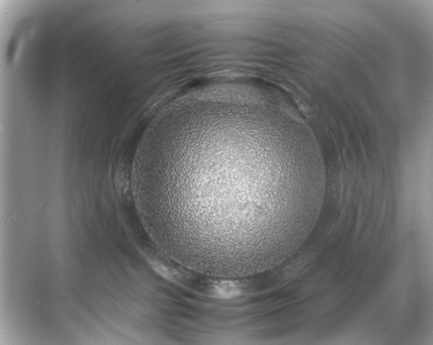 X0000070410091200606121341