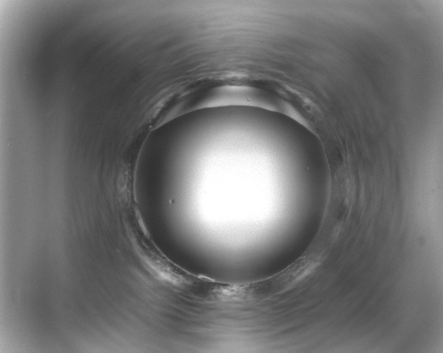 X0000070410092200606121341