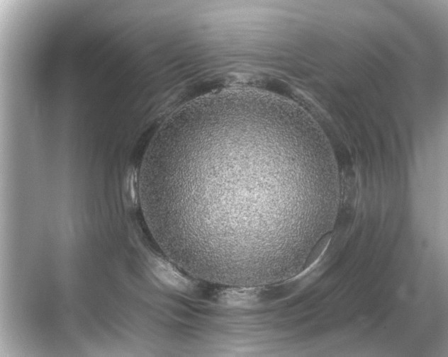 X0000070410094200606121341