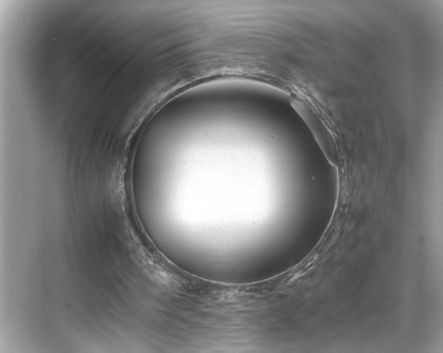 X0000070410098200606121340