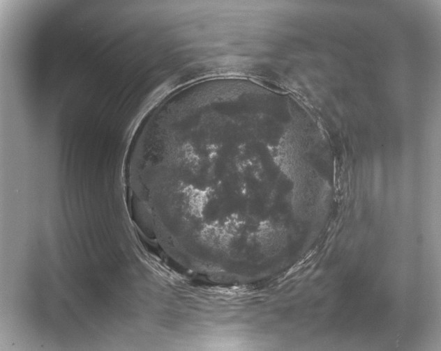 X0000070410099200606121340