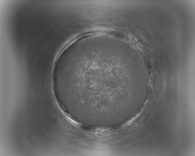 X0000070410101200606121340