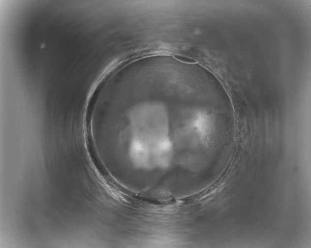 X0000070410102200606121340