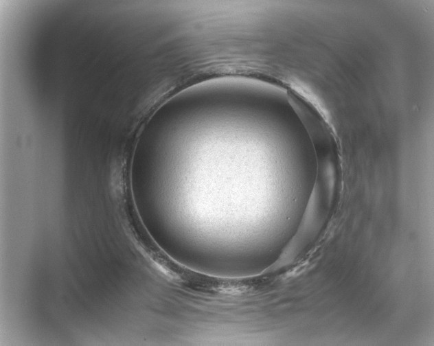 X0000070410105200606121340