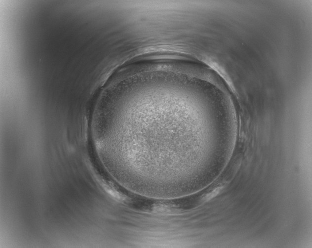 X0000070410109200606121340