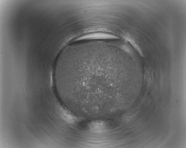 X0000070410110200606121340