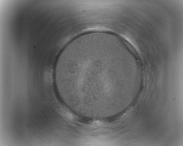 X0000070410111200606121340