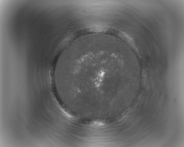 X0000070410114200606121340