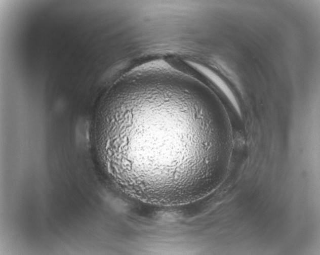 X0000070410115200606121340