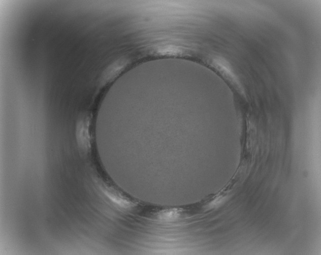 X0000070410116200606121340