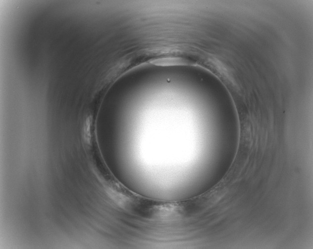 X0000070410118200606121340