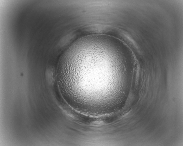 X0000070410119200606121340