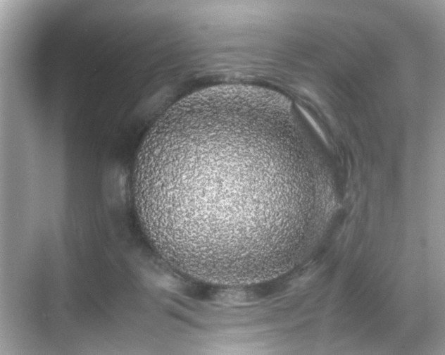 X0000070410123200606121340