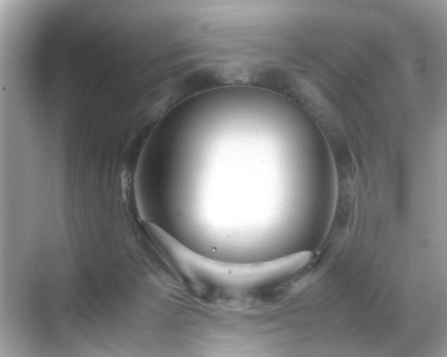 X0000070410125200606121340