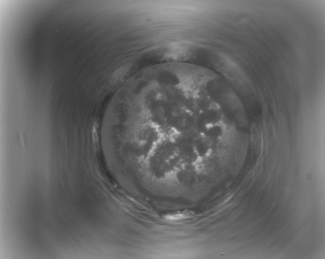 X0000070410127200606121340