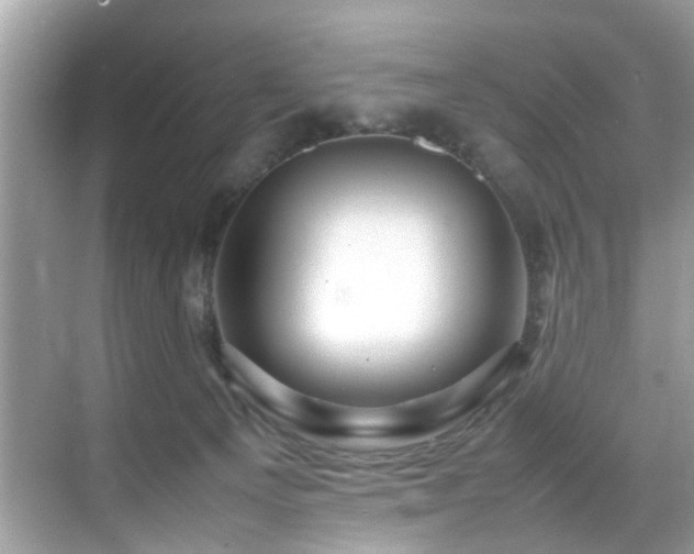 X0000070410129200606121340