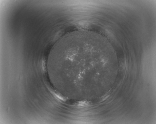 X0000070410130200606121340