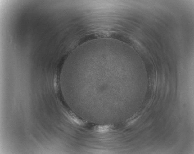 X0000070410134200606121340