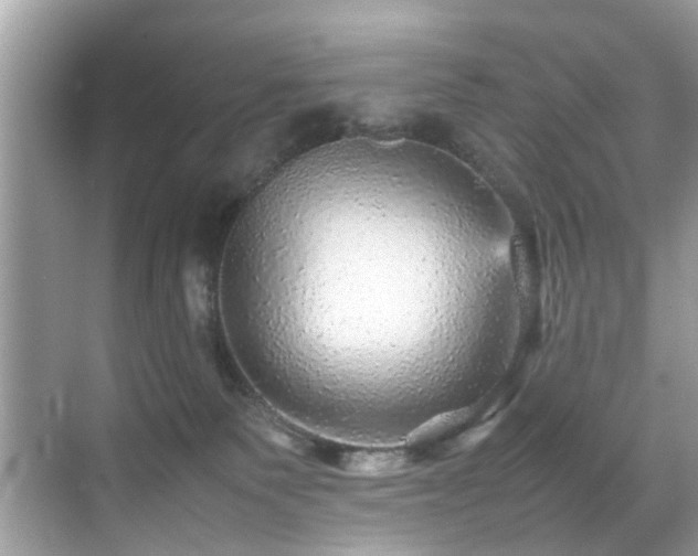 X0000070410135200606121339