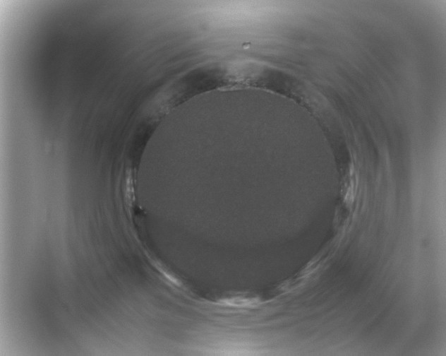 X0000070410137200606121339