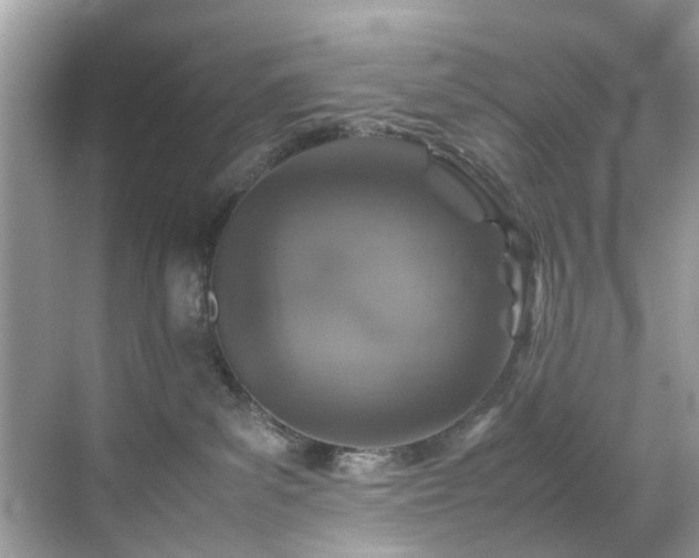 X0000070410139200606121339