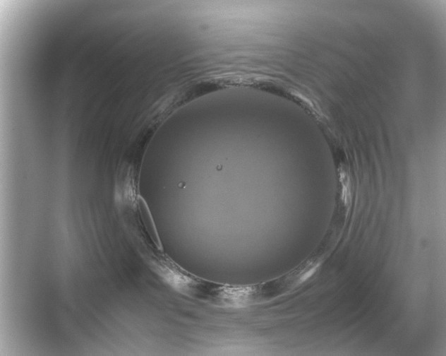 X0000070410143200606121339