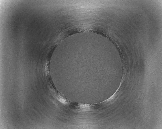 X0000070410144200606121339