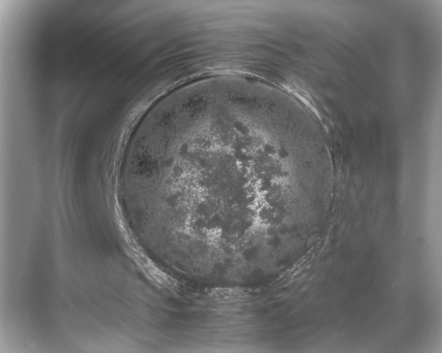 X0000070410145200606121339