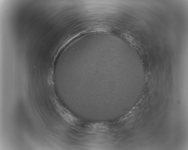 X0000070410146200606121339