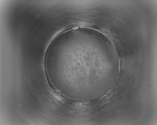 X0000070410147200606121339