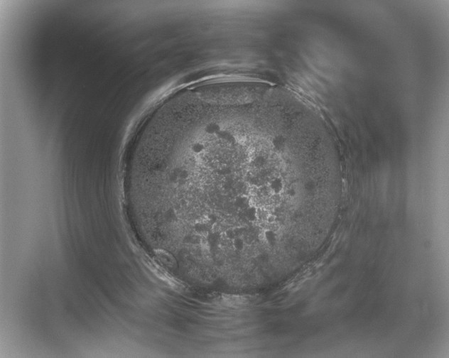 X0000070410149200606121339