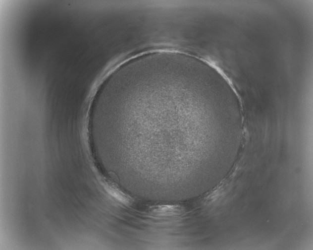 X0000070410151200606121339