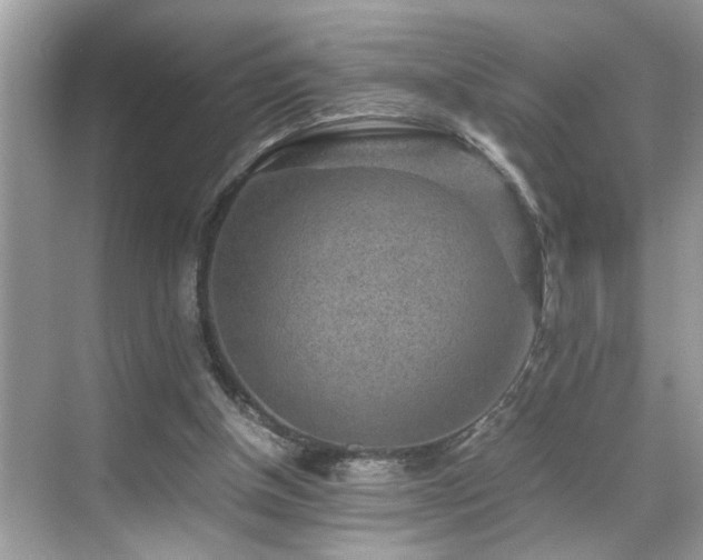 X0000070410154200606121339