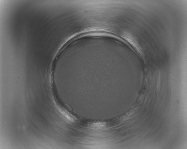 X0000070410156200606121339