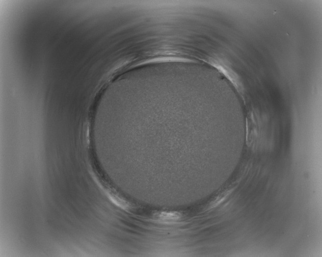 X0000070410157200606121339