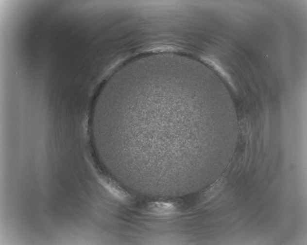 X0000070410159200606121339