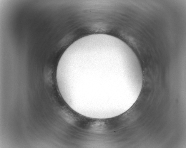 X0000070410162200606121339