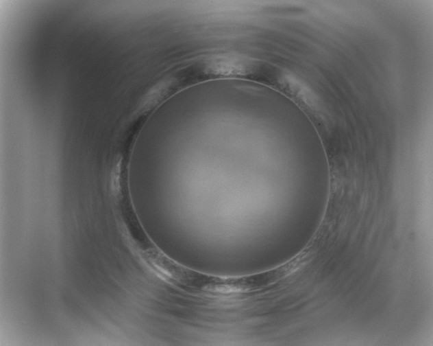 X0000070410163200606121339