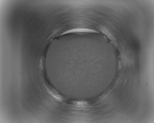 X0000070410165200606121339