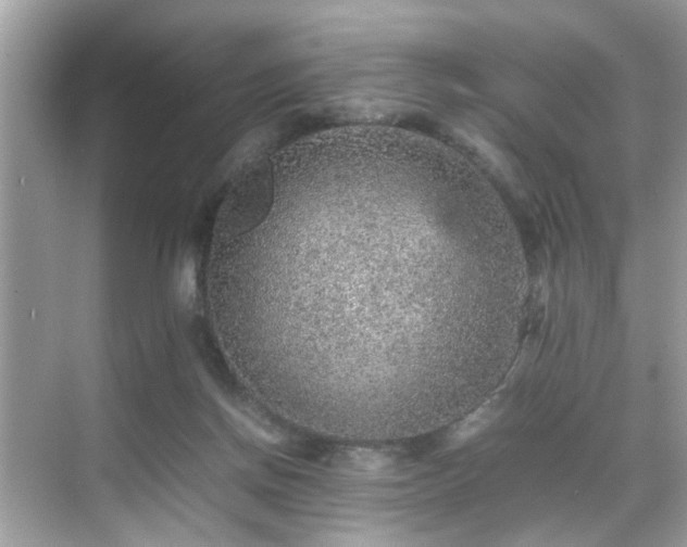 X0000070410166200606121339