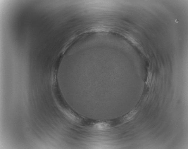 X0000070410168200606121339