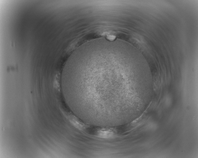 X0000070410175200606121339