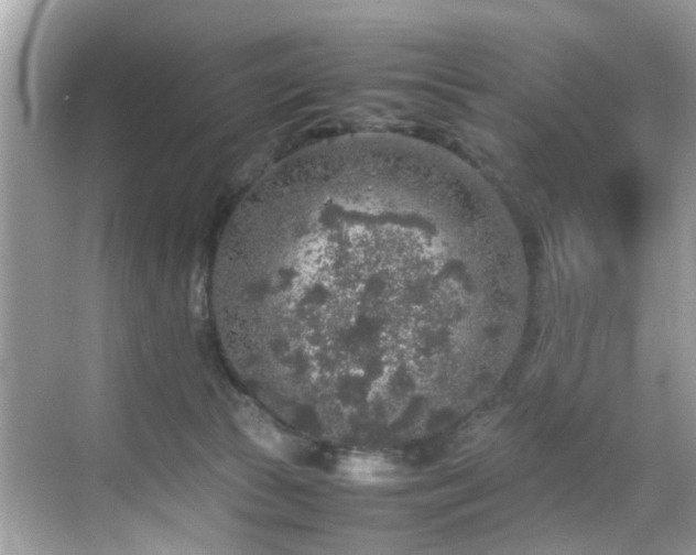 X0000070410177200606121339