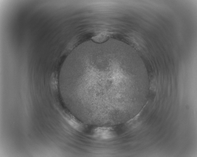 X0000070410179200606121339